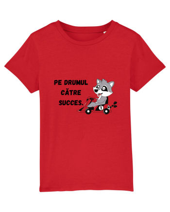 PE DRUMUL CĂTRE SUCCES V1 Red