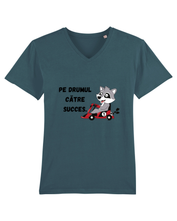 PE DRUMUL CĂTRE SUCCES V1 Stargazer
