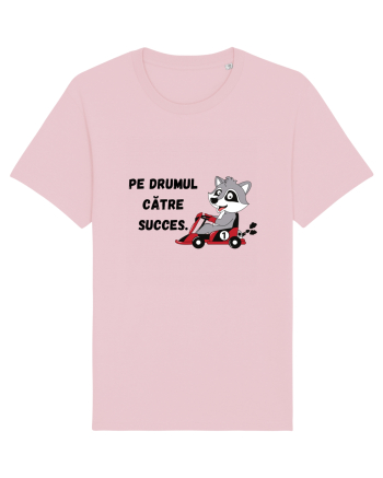 PE DRUMUL CĂTRE SUCCES V1 Cotton Pink