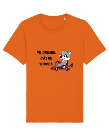 PE DRUMUL CĂTRE SUCCES V1 Bright Orange