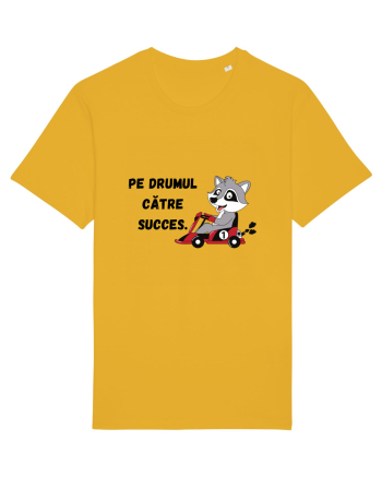 PE DRUMUL CĂTRE SUCCES V1 Spectra Yellow