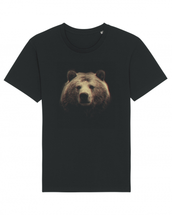 Wild Bear Project Black