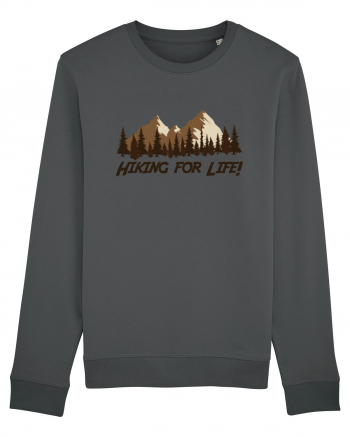 Hiking for Life! Anthracite