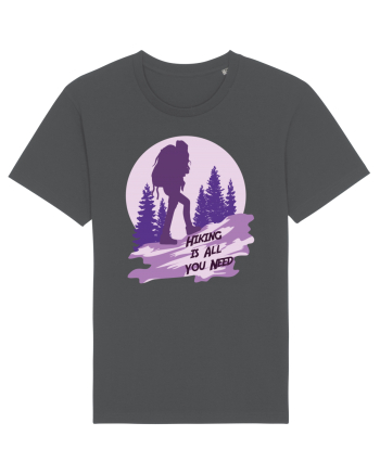 Hiking is All You Need Anthracite