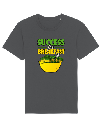 SUCCESS Anthracite