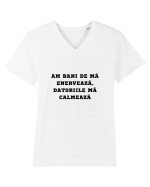 AM BANI DE MĂ ENERVEAZĂ - DATORIILE MĂ CALMEAZĂ Tricou mânecă scurtă guler V Bărbat Presenter
