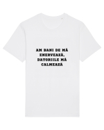 AM BANI DE MĂ ENERVEAZĂ - DATORIILE MĂ CALMEAZĂ Tricou mânecă scurtă Unisex Rocker