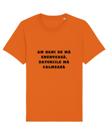 AM BANI DE MĂ ENERVEAZĂ - DATORIILE MĂ CALMEAZĂ Bright Orange