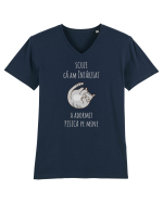 Pisica Adormita cu Citat Tricou mânecă scurtă guler V Bărbat Presenter