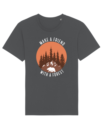 Make a Friend with a Forest Anthracite