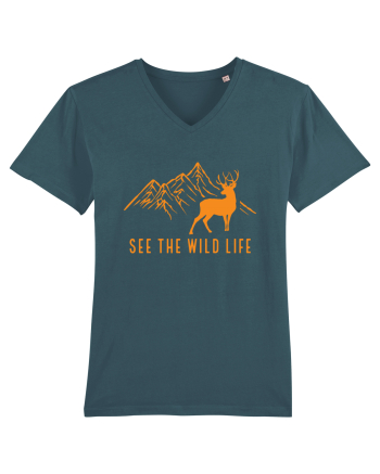 See the Wild Life Stargazer