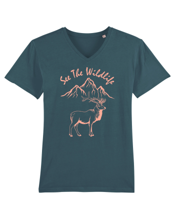 See the Wildlife Stargazer