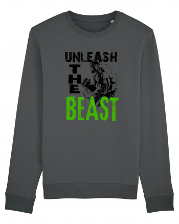 Unleash the Beast Anthracite