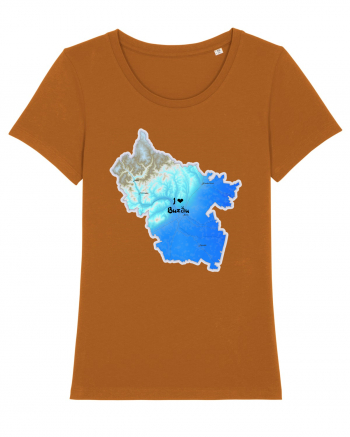 Buzău County Map Roasted Orange