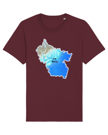 Buzău County Map Burgundy