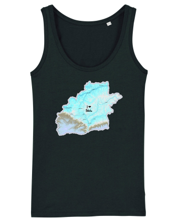 Sibiu County Map Black