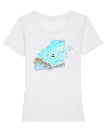 Sibiu County Map White