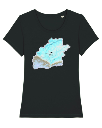 Sibiu County Map Black