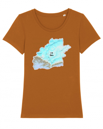 Sibiu County Map Roasted Orange