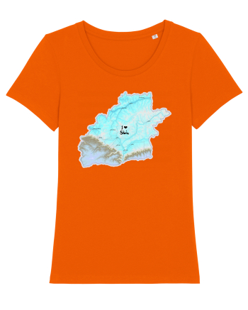 Sibiu County Map Bright Orange