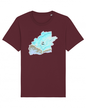 Sibiu County Map Burgundy