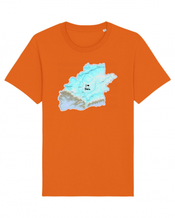 Sibiu County Map Bright Orange