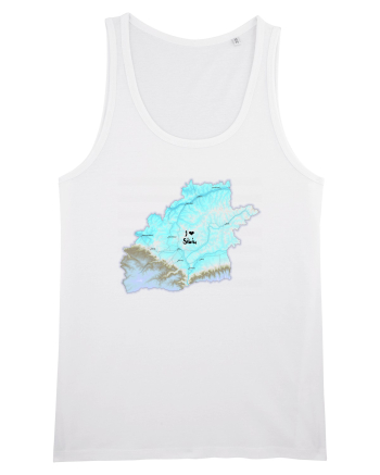 Sibiu County Map White