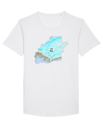 Sibiu County Map White