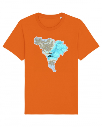 Alba County Map Bright Orange