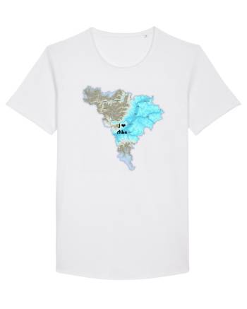 Alba County Map White