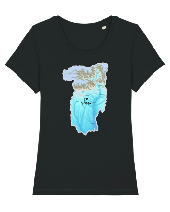 Vâlcea County Map Black