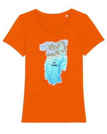 Vâlcea County Map Bright Orange