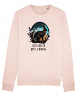 NOT EASTER, JUST A BUNNY Bluză mânecă lungă Unisex Rise