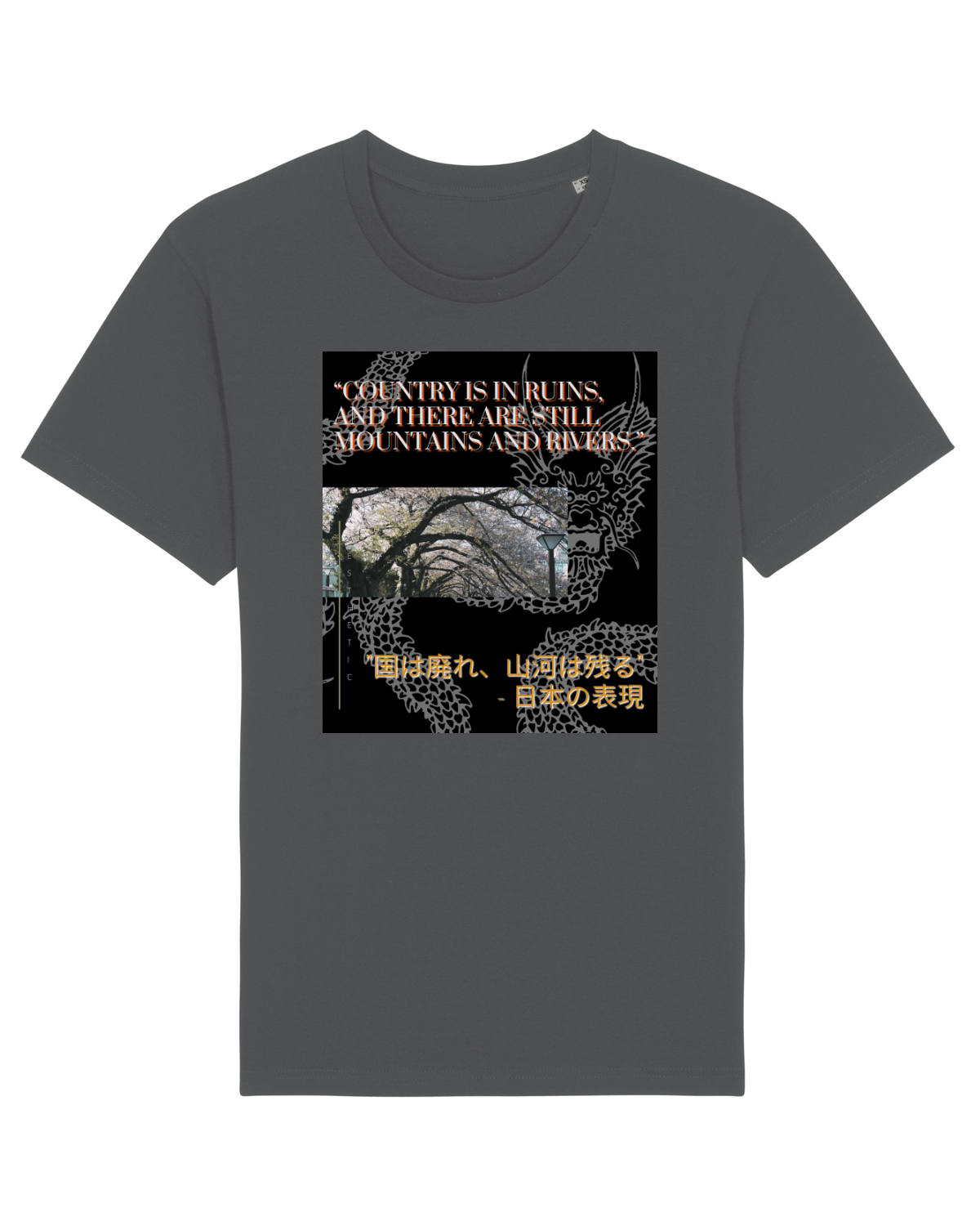Tricou mânecă scurtă Unisex Rocker Anthracite