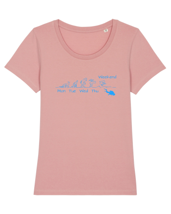 Diving Canyon Pink