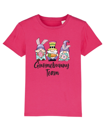 de Paște - Gnomebunny team Raspberry
