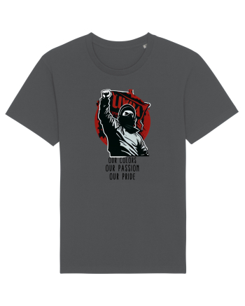TRICOU ULTRAS - V2 Anthracite