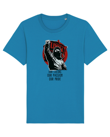 TRICOU ULTRAS - V2 Azur