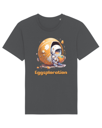 Space Easter - Eggsploration Anthracite