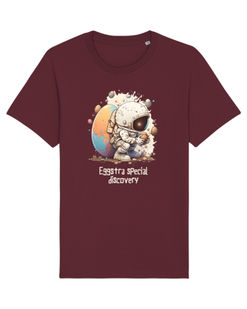 Space Easter - Eggstra special discovery Burgundy