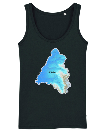 Bihor County Map Black