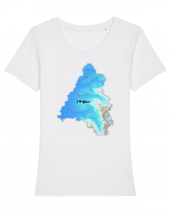 Bihor County Map White