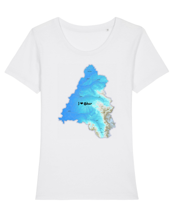 Bihor County Map White