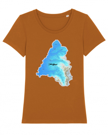 Bihor County Map Roasted Orange