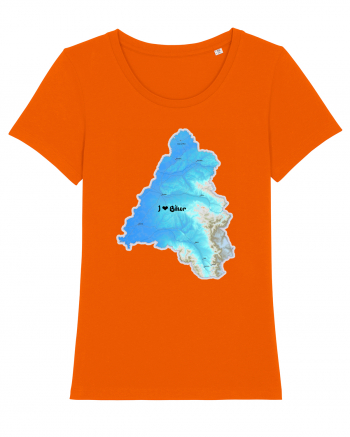 Bihor County Map Bright Orange