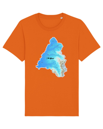 Bihor County Map Bright Orange