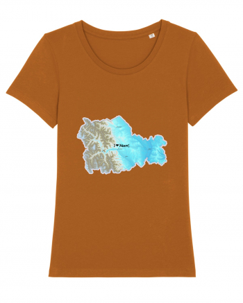 Neamț County Map Roasted Orange