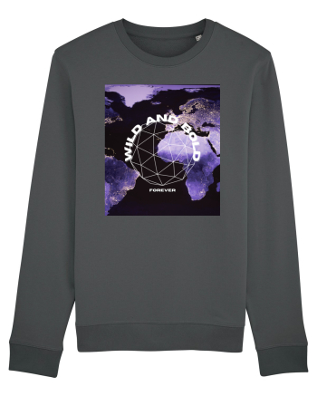 Wild And Bold Anthracite
