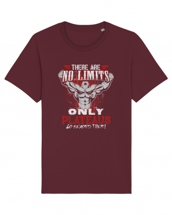 No Limits Burgundy