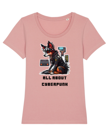 ALL ABOUT CYBERPUNK - V2 Canyon Pink